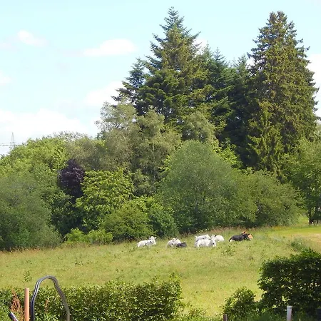 Striking In Germany Near Lake Semesterbostad